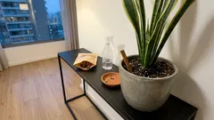 ¿Canela en la lengua de suegra? Lo que promete el Feng Shui y lo que sí ayuda en la maceta