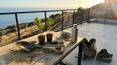 Compró una isla erosionada y la reforestó árbol por árbol: la historia de Moyenne