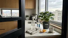 Agua con vinagre en plantas: el truco casero que puede ayudar… y cuándo conviene evitarlo