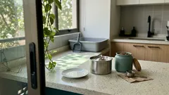 ¿Le das leche a tu gato? Lo que puede estar pasando en su guatita y alternativas simples